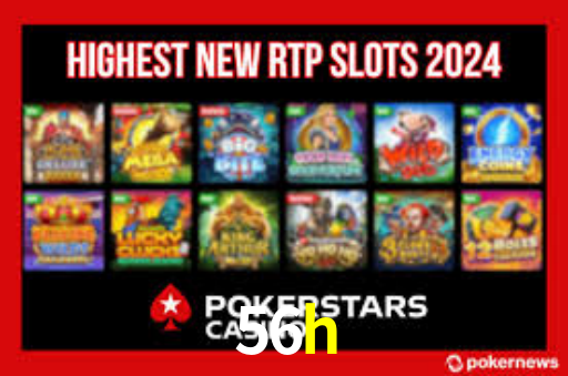 Interface Premium 56h